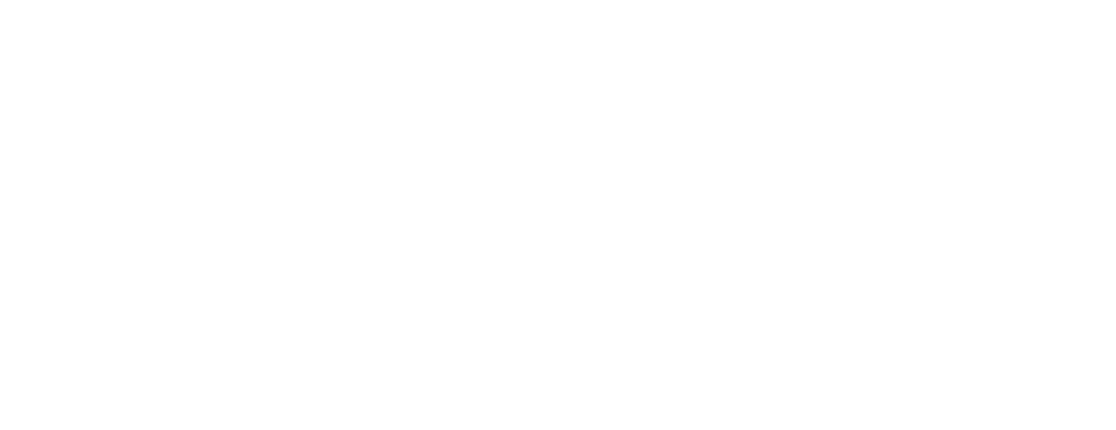 HealthNet-wt